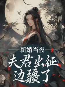 (新婚当夜，夫君出征边疆了)主角裴云珠沈昭年小说免费试读