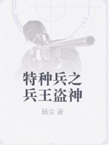 主角是叶洛阳龙小云的小说(特种兵之兵王盗神)在线阅读