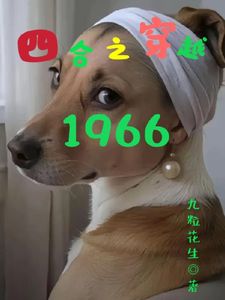 四合院之穿越1966(何雨柱许大茂)章节5-8剧情解析_何雨柱许大茂故事情节内容免费版