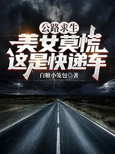 主角是赵硕的小说(公路求生：美女莫慌，这是快递车)在线阅读