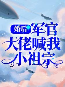 (婚后军官大佬喊我小祖宗)主角盛晚烟顾廷枭小说免费试读