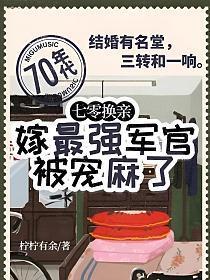 主角陆向野高文玥小说免费阅读_七零换亲嫁最强军官被宠麻了全文在线