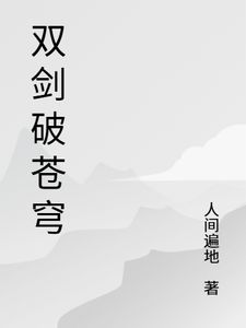 主角是林风叶澜的小说(双剑破苍穹)在线阅读