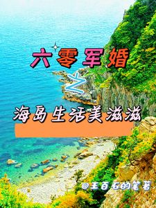 六零军婚之海岛生活美滋滋(林淼黄玉)章节13-16剧情解析_林淼黄玉故事情节内容免费版